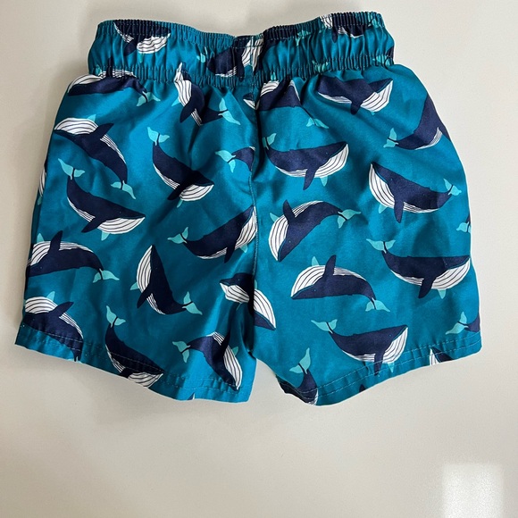 Boys toddler swim trunks (3 pair) - Picture 6 of 11